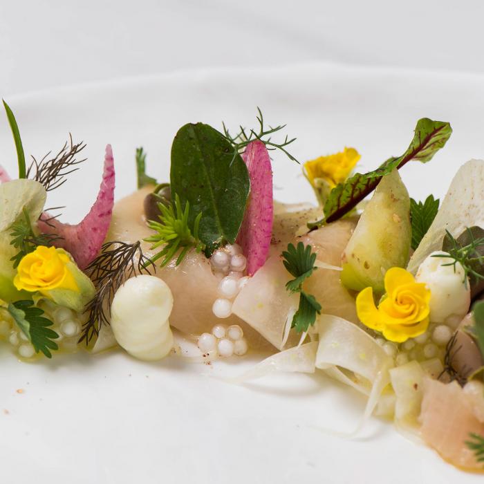 Arabelle Meirlaen haringfilet